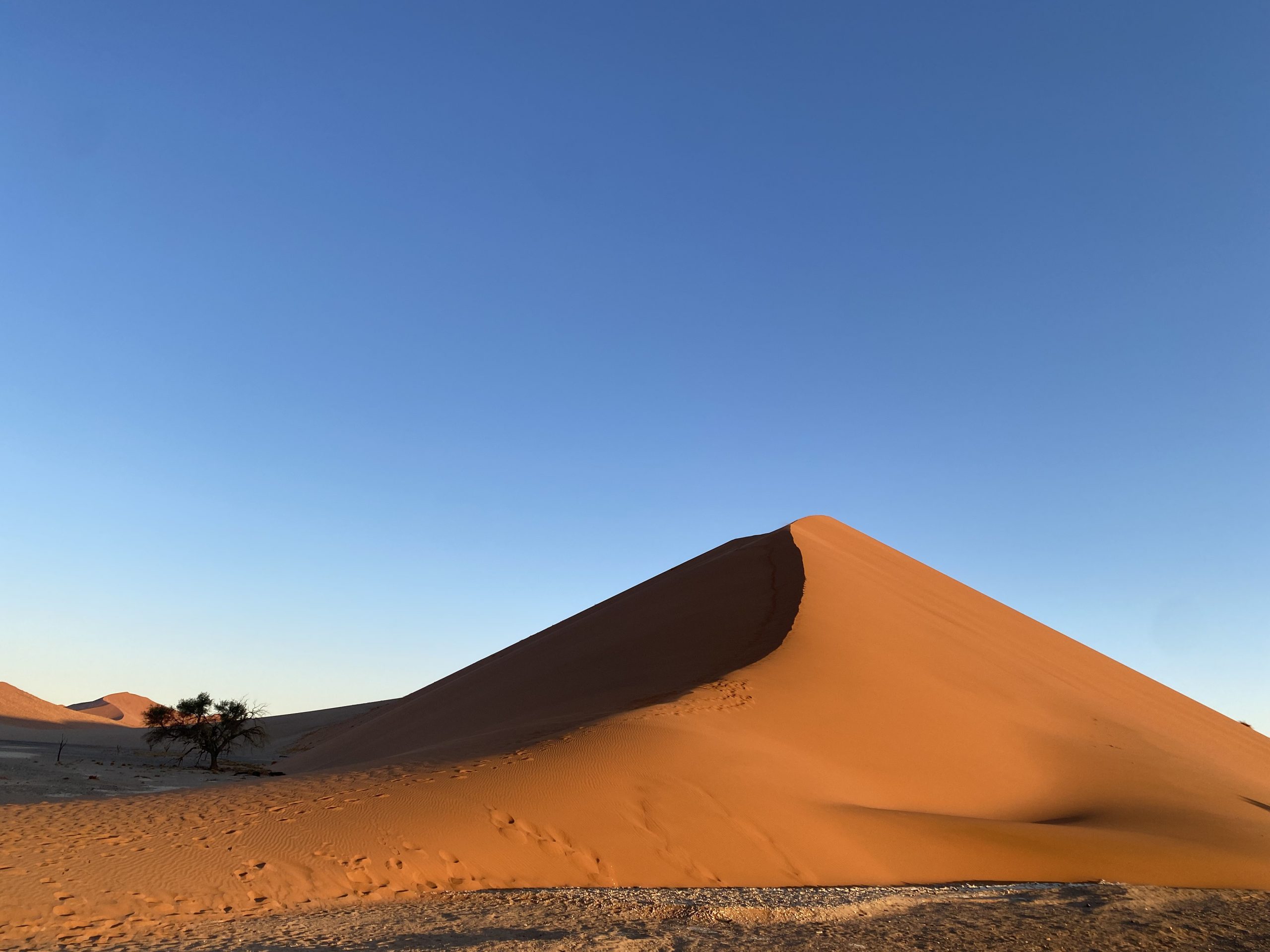 Com va començar l’aventura?